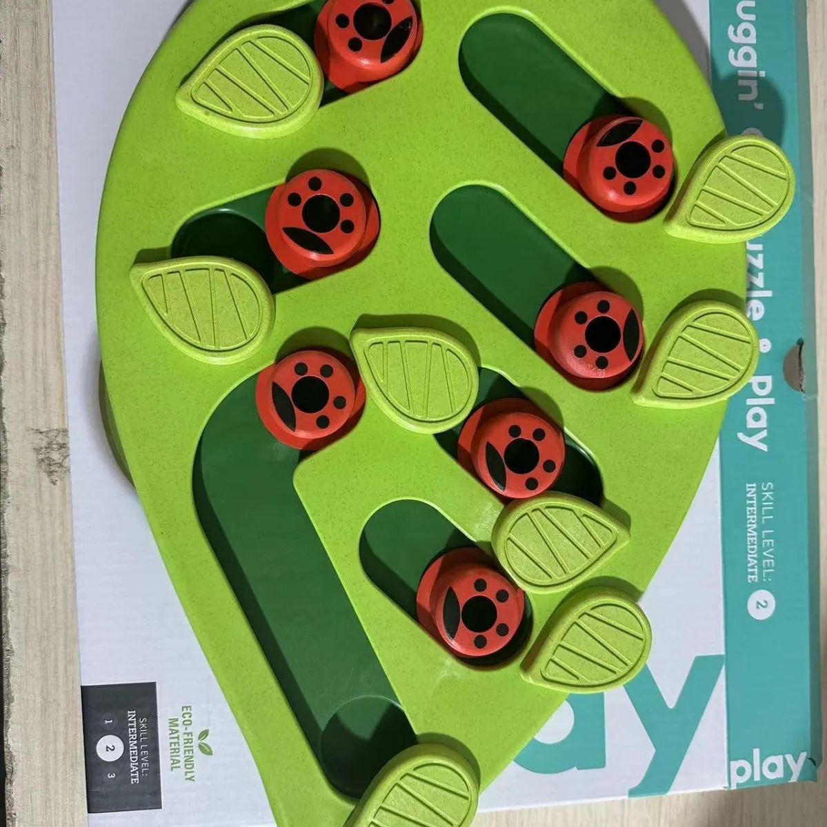 Green Wizard of Oz themed slow-feeding pet bowl made from PP material on plain background