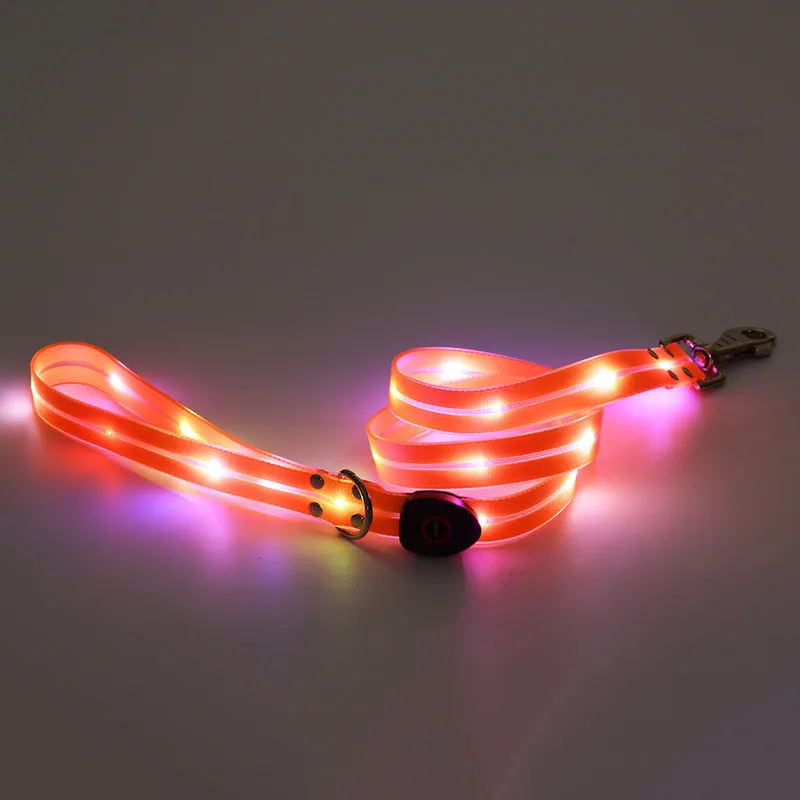 LED luminous pet collar and nylon tow rope with colourful light strips, rechargeable via USB, in black colour option