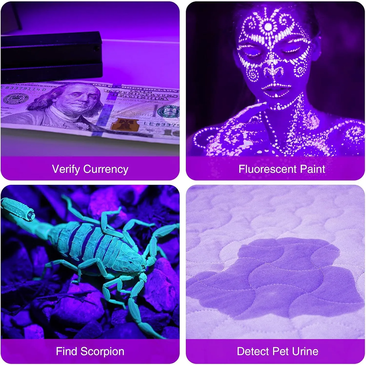 Black or silver aluminium alloy UV flashlight for detecting pet stains and insects.