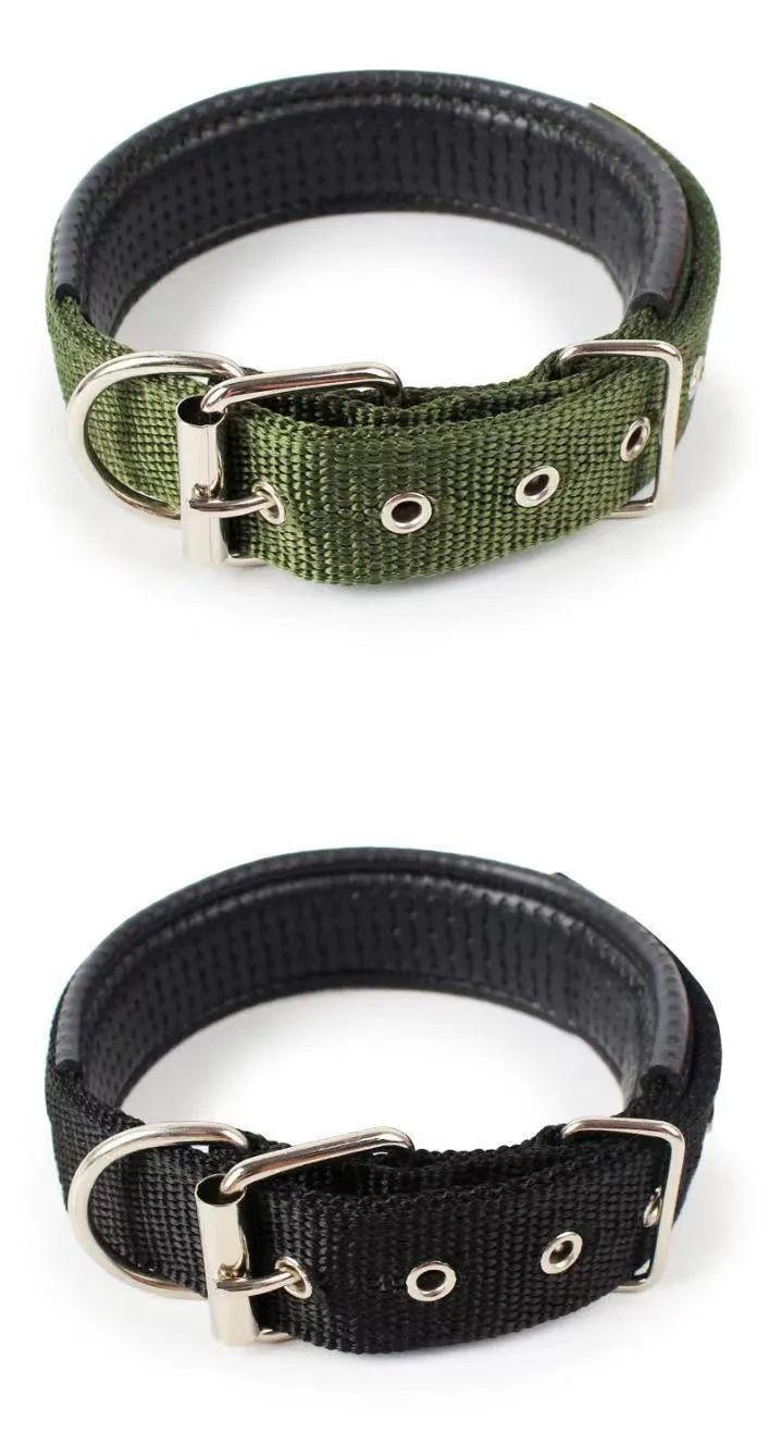 Nylon dog collar for small and medium dogs in blue with adjustable length, size S to XXL