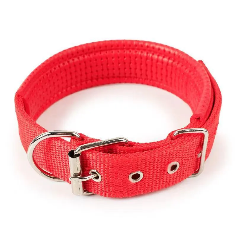 Nylon dog collar for small and medium dogs in blue with adjustable length, size S to XXL