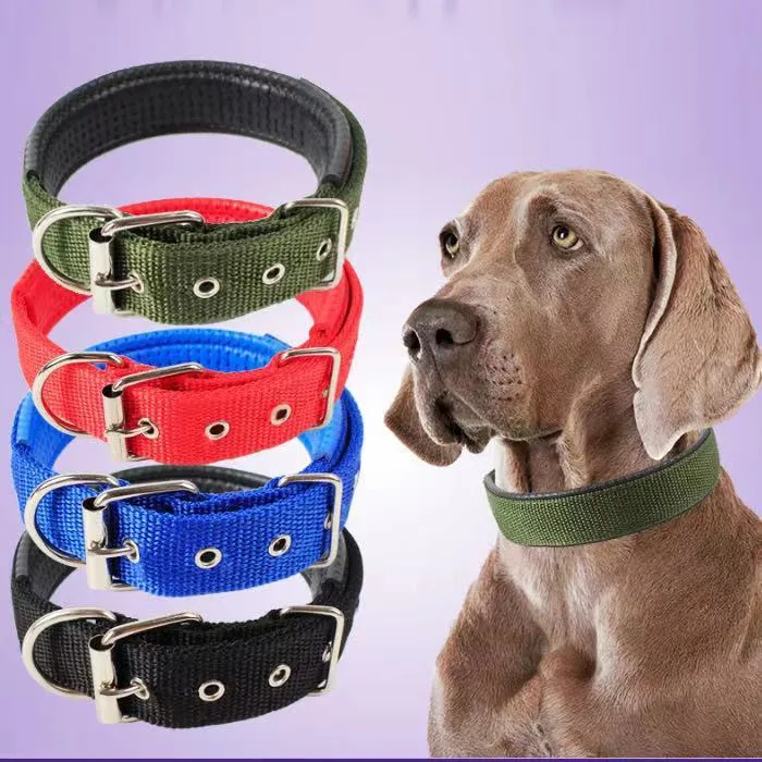 Nylon dog collar for small and medium dogs in blue with adjustable length, size S to XXL