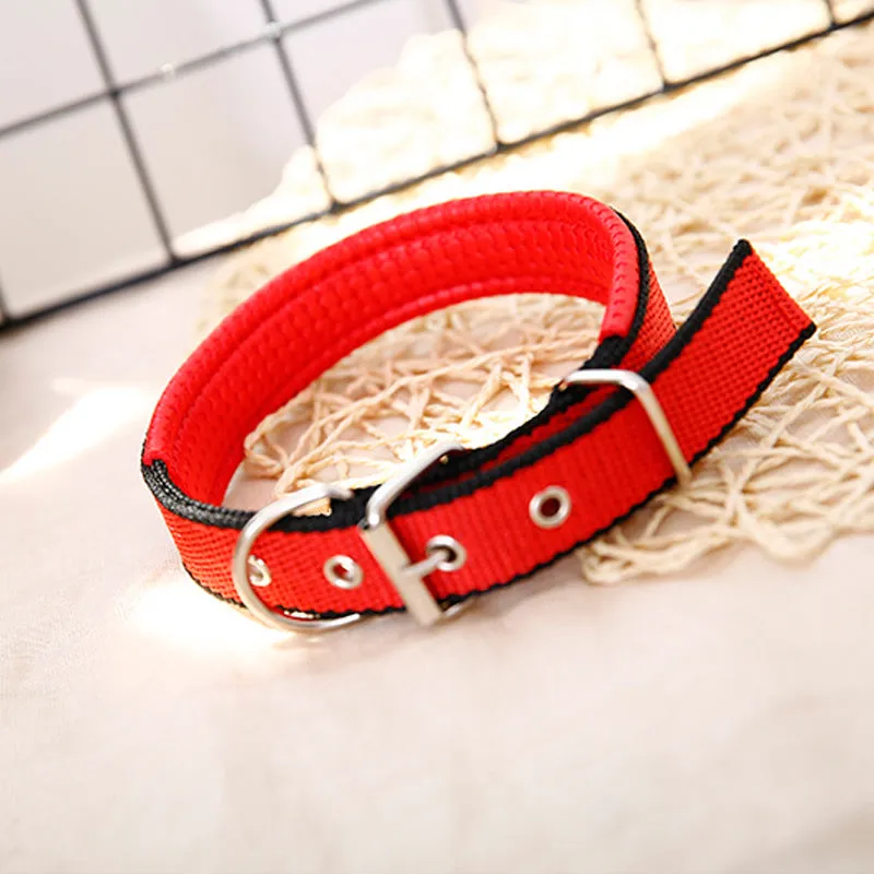 Nylon dog collar for small and medium dogs in blue with adjustable length, size S to XXL