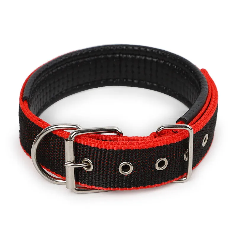 Nylon dog collar for small and medium dogs in blue with adjustable length, size S to XXL