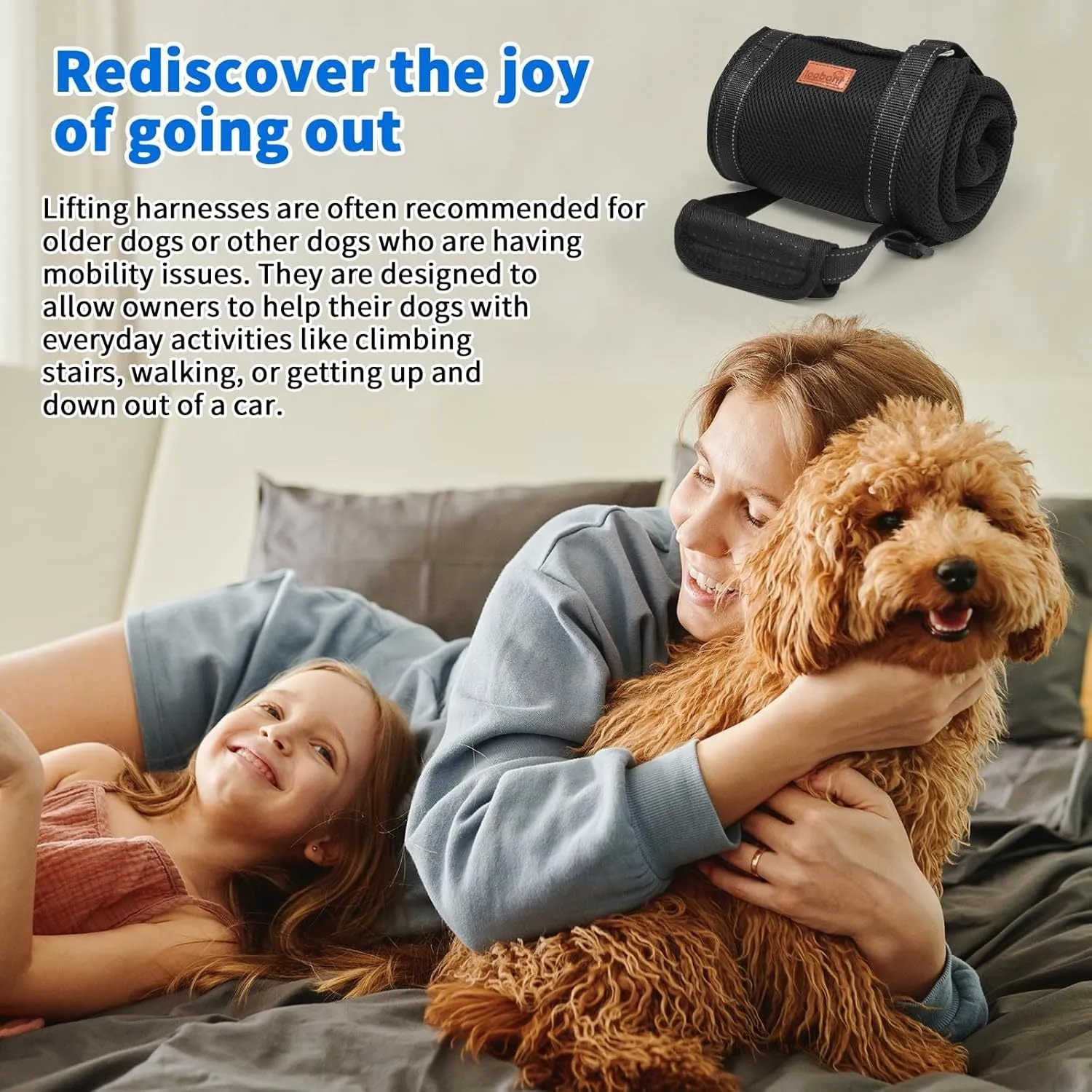 Portable dog sling with reflective nylon straps and padded handle, supporting a dog's hind legs
