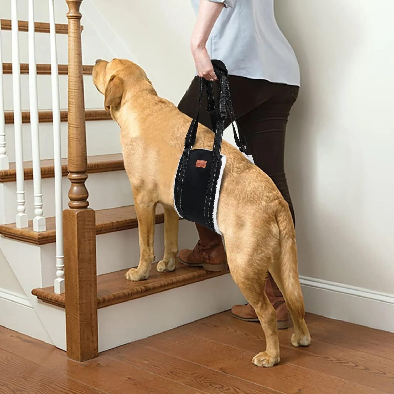 Portable dog sling with reflective nylon straps and padded handle, supporting a dog's hind legs