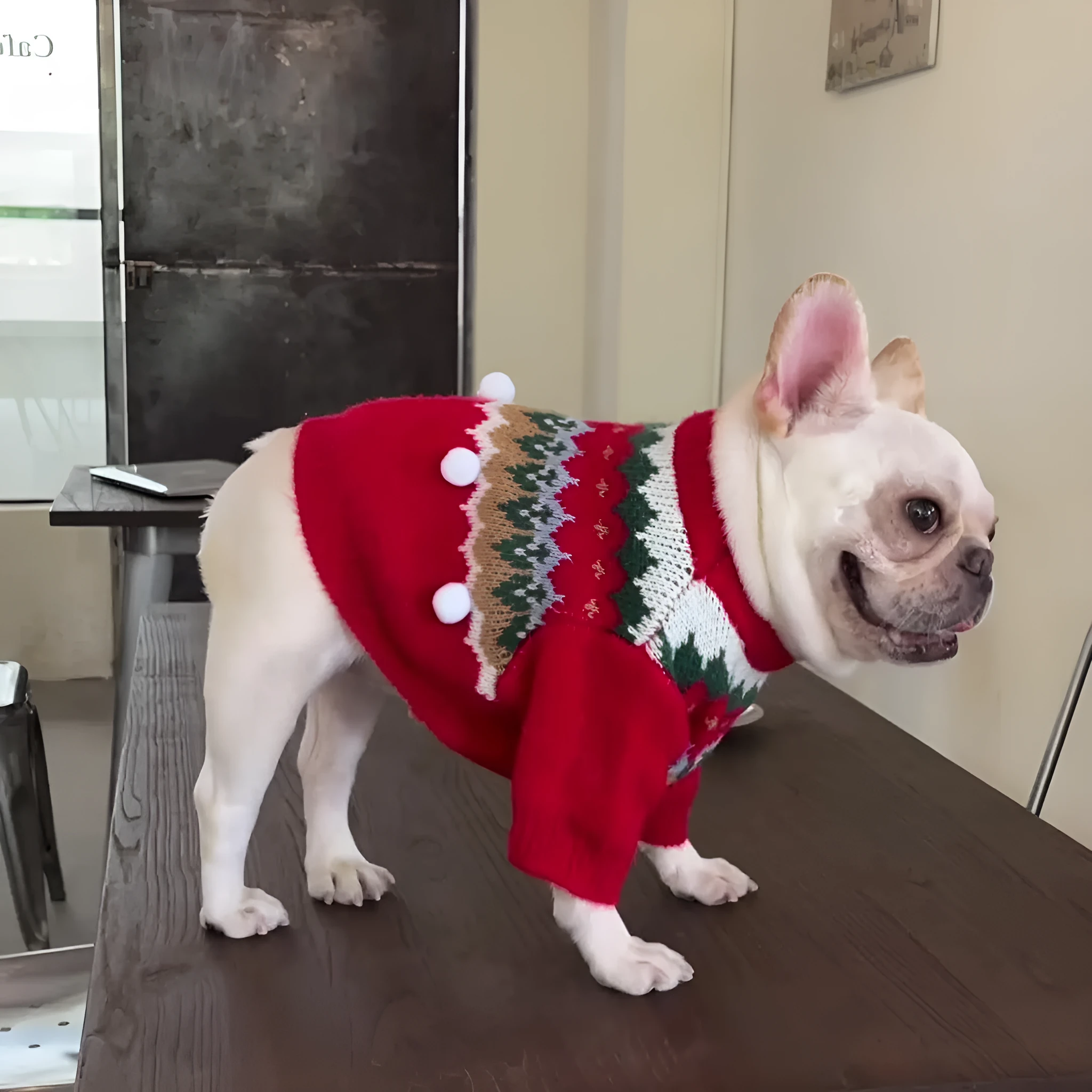 Red wool pet Christmas sweater for dogs and cats, available in sizes S to 2XL, casual style