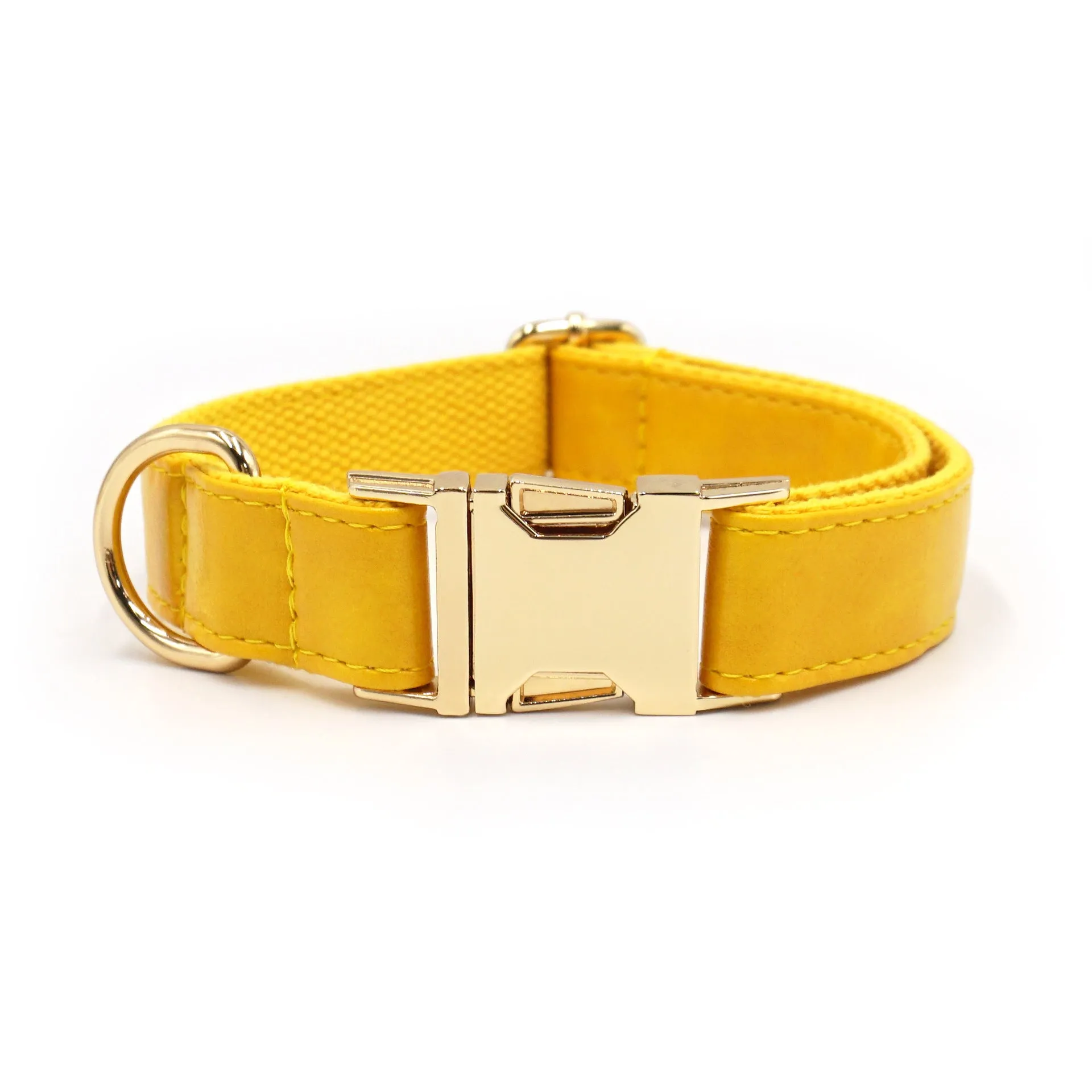 Leather dog collar with velvet texture section in colour block design, shown on a buckle.