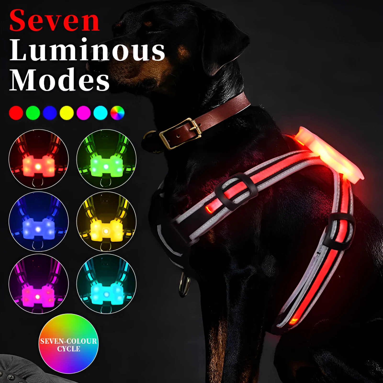 Luminous dog lead with USB charging cable showing seven-colour transformation on nylon strap
