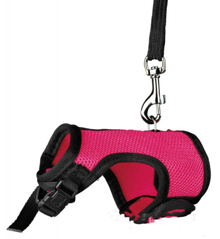 Small pet nylon harness leash adjustable in sizes S M L XL with six colour options