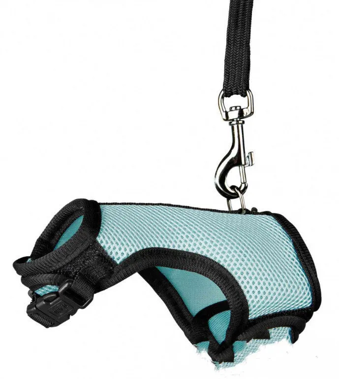 Small pet nylon harness leash adjustable in sizes S M L XL with six colour options
