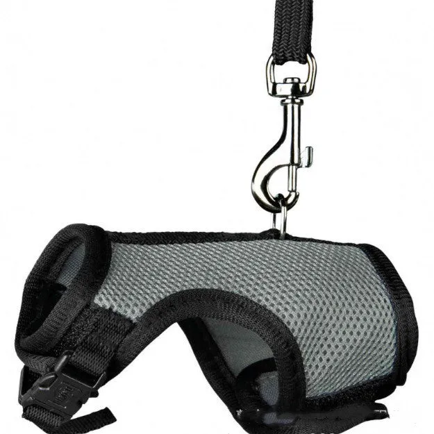 Small pet nylon harness leash adjustable in sizes S M L XL with six colour options