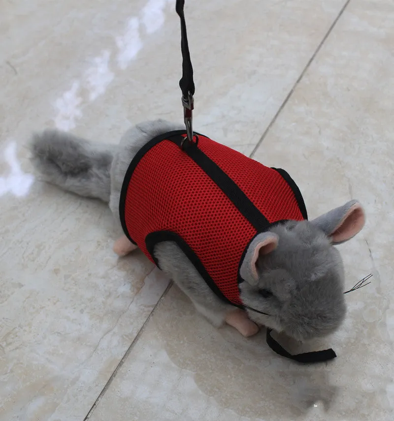 Small pet nylon harness leash adjustable in sizes S M L XL with six colour options