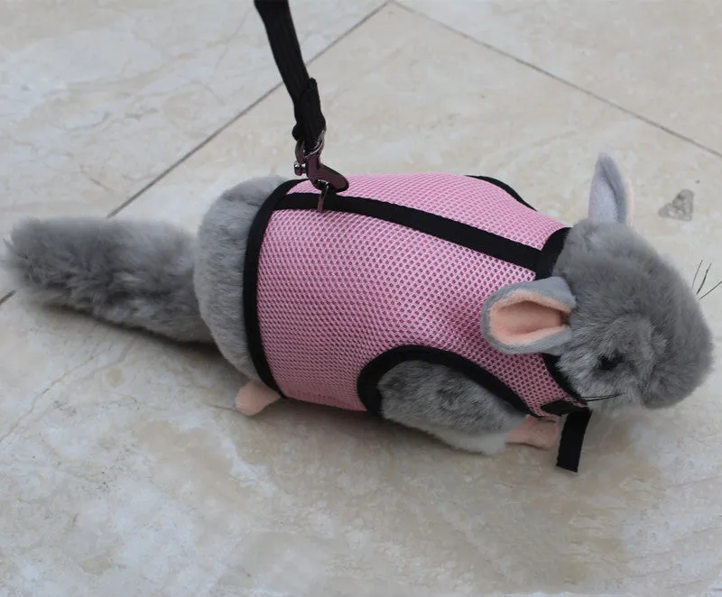 Small pet nylon harness leash adjustable in sizes S M L XL with six colour options