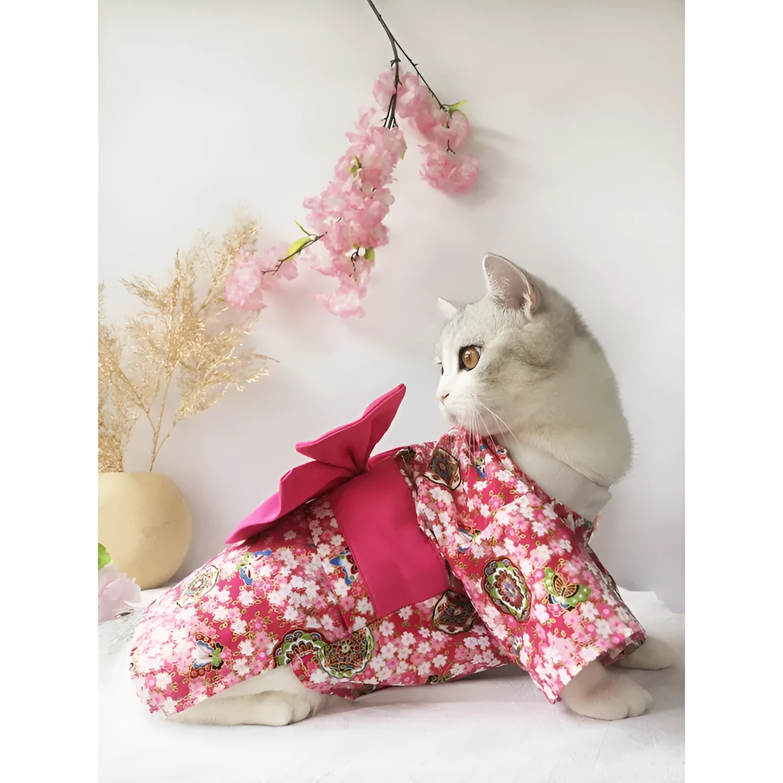 Small dog wearing a cherry blossom print kimono-style pet clothing in a standing pose