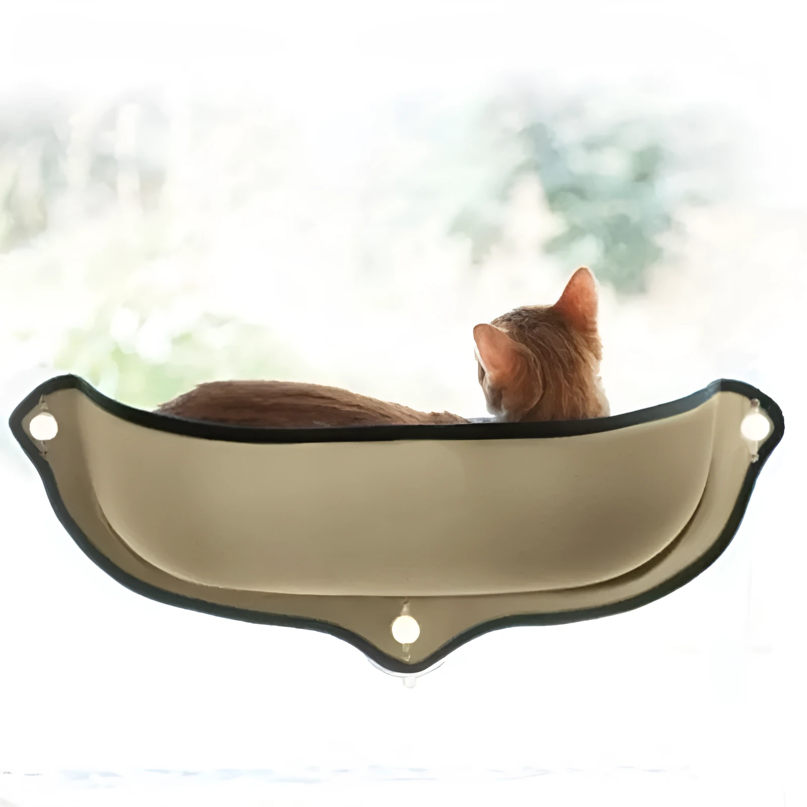 Cyan EVA window cat hammock with suction cup attached to glass