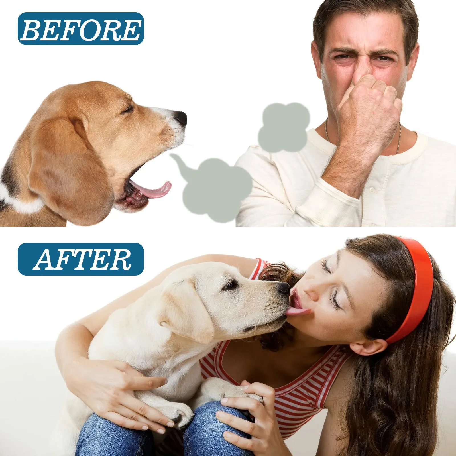 Pet oral spray 59ml for tartar removal and bad breath with enzyme and mint extract