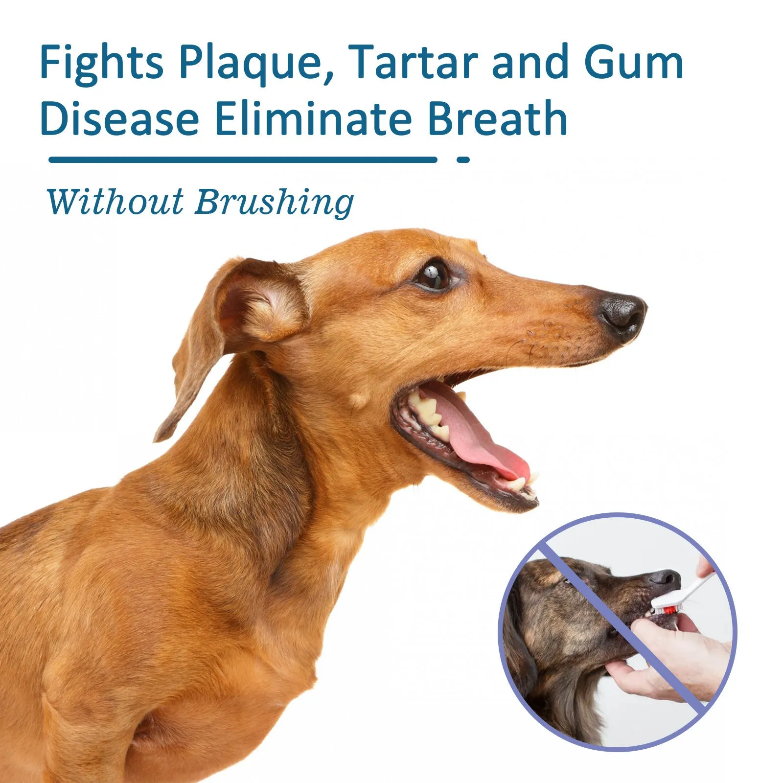 Pet oral spray 59ml for tartar removal and bad breath with enzyme and mint extract