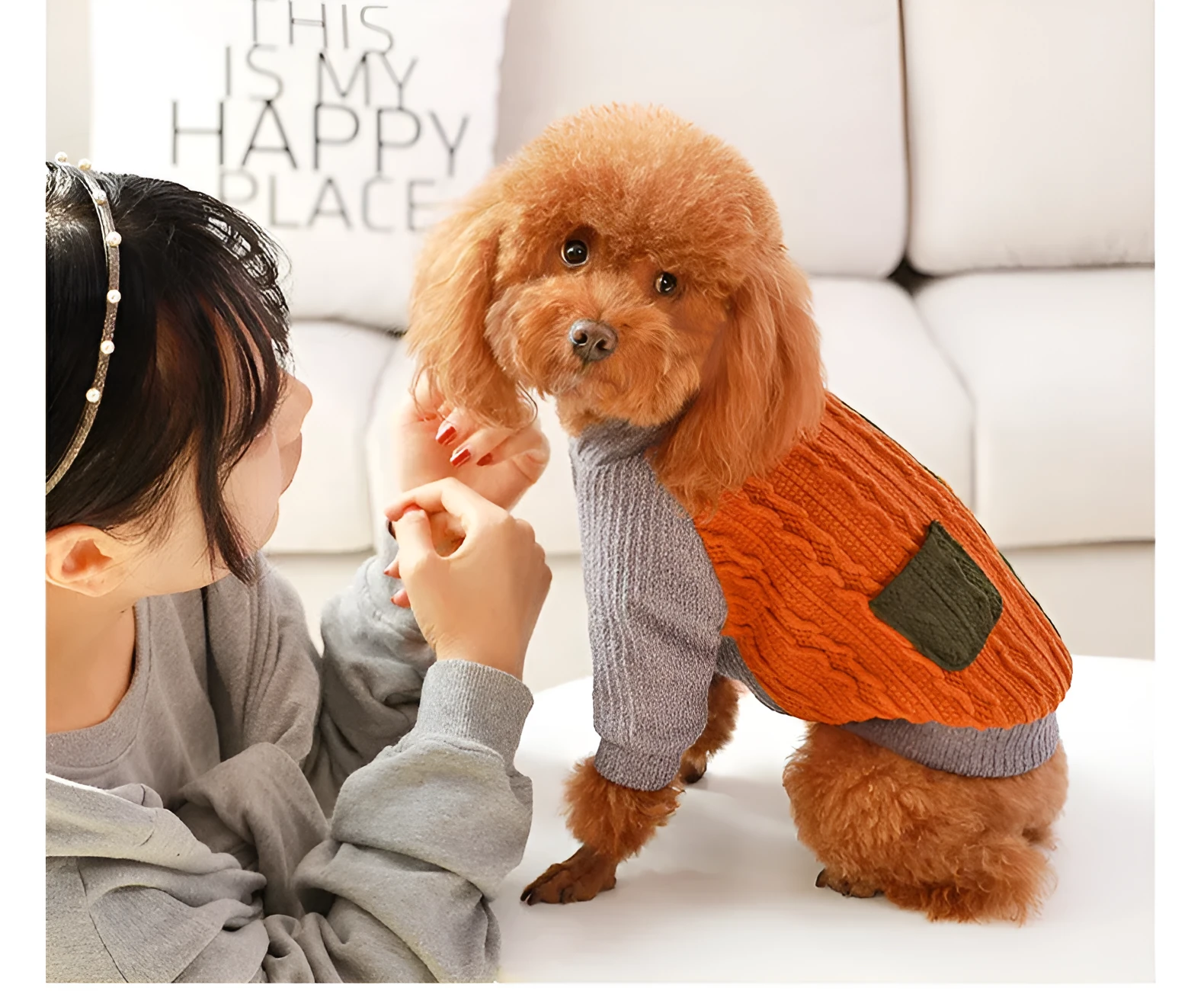 Blue cotton pullover dog sweater on a small breed dog, shown against a neutral background