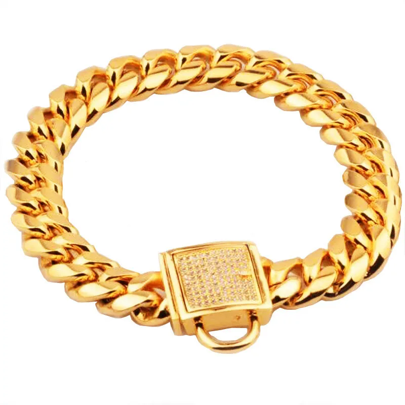Gold titanium steel pet dog collar with encryption chain buckle lying on surface