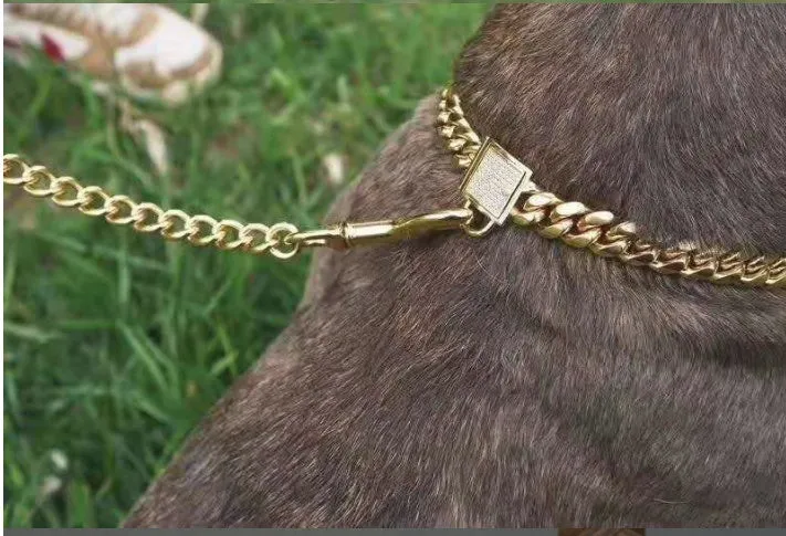 Gold titanium steel pet dog collar with encryption chain buckle lying on surface