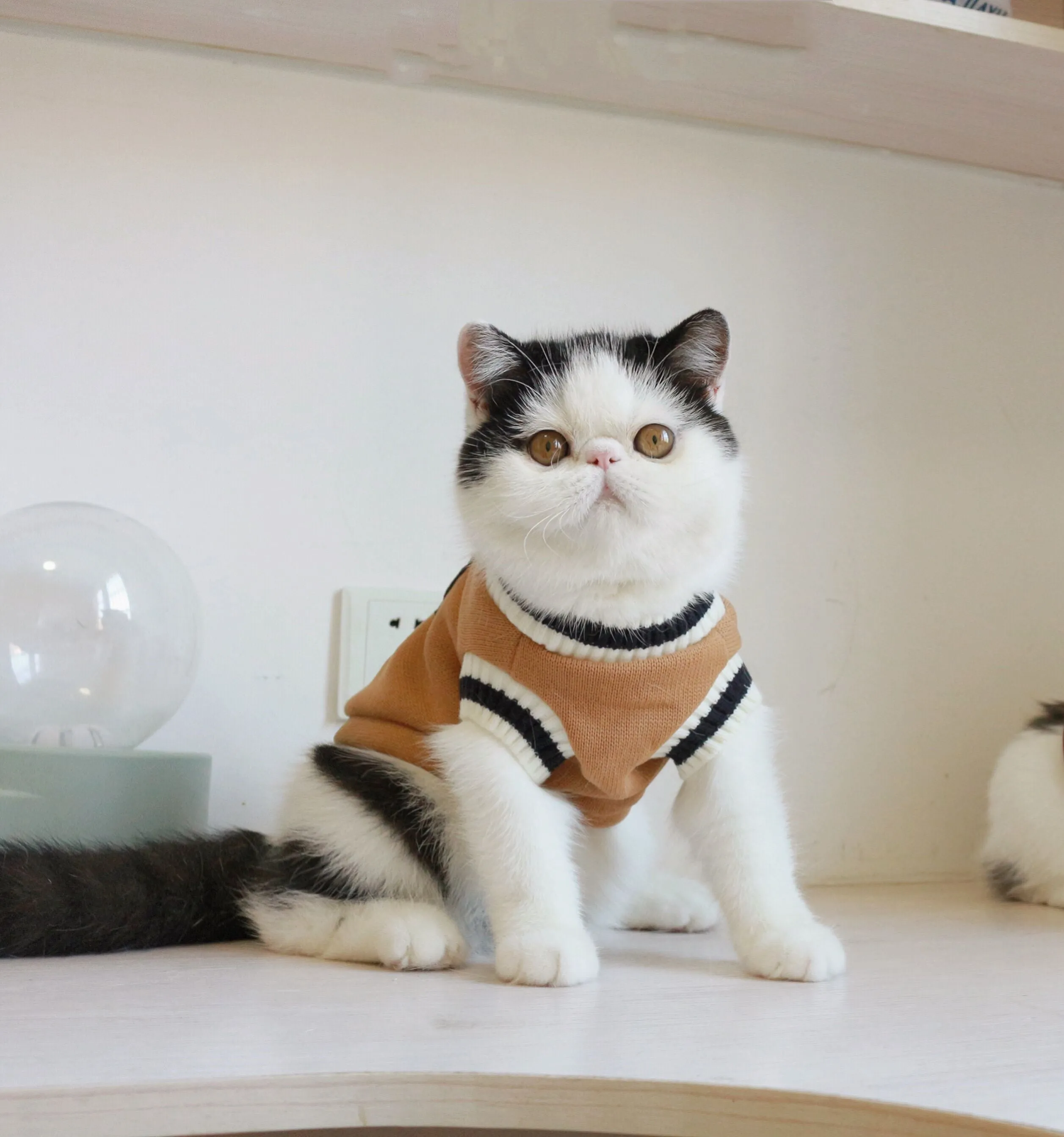 Green fleece knit sleeveless cat vest, college style, size S to 3XL