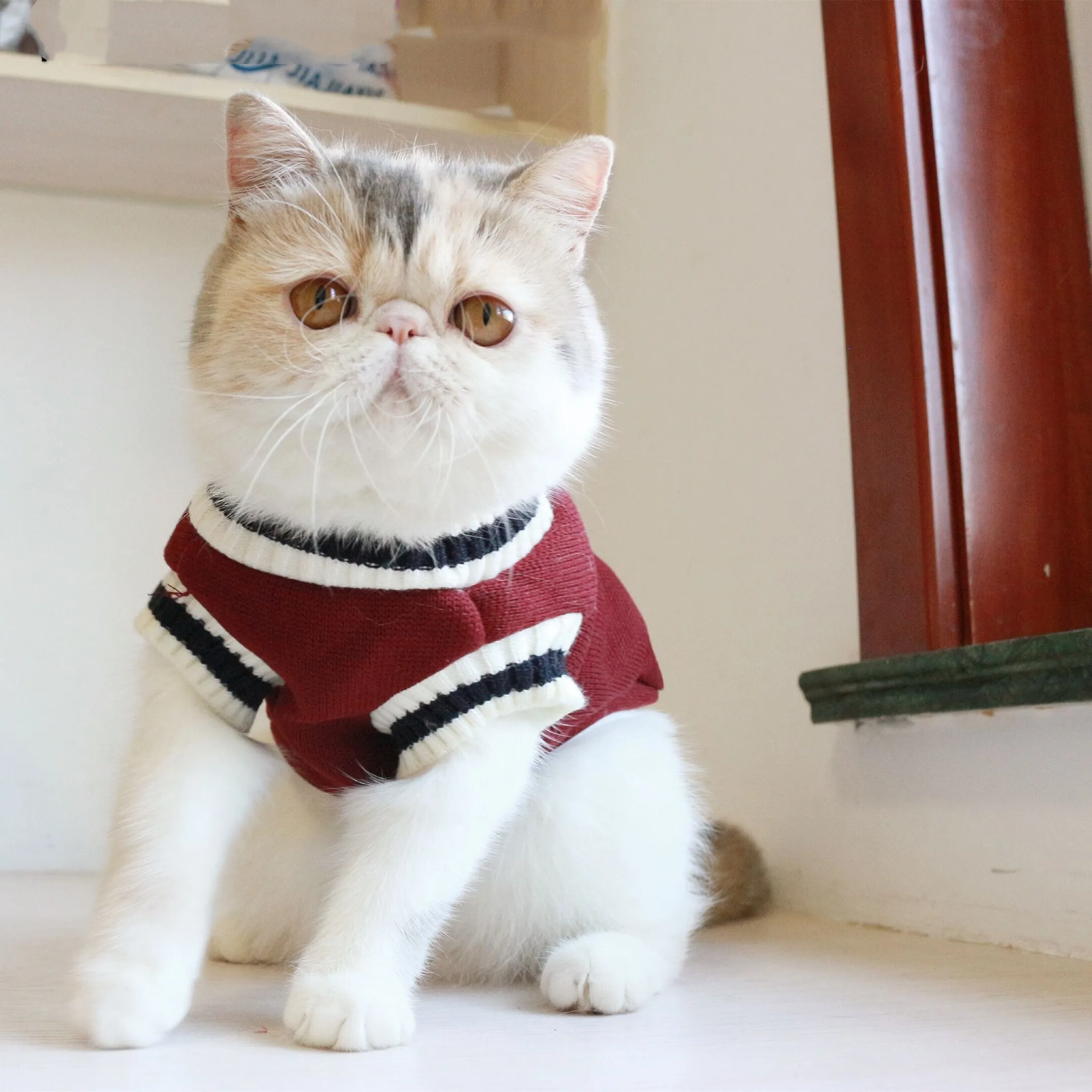 Green fleece knit sleeveless cat vest, college style, size S to 3XL