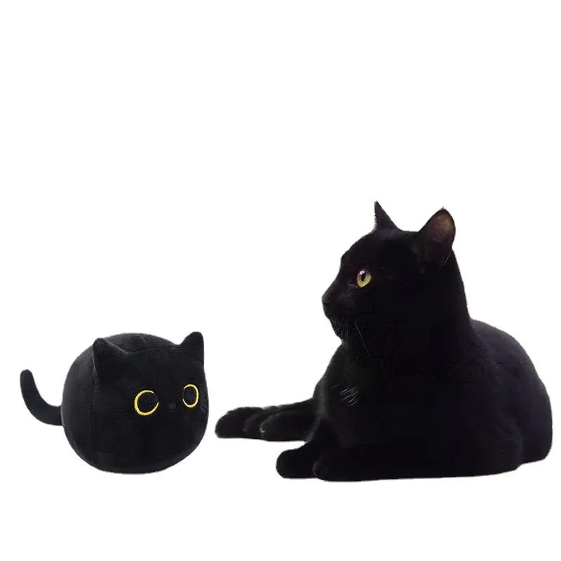 Fluffy black cat plush toy stuffed animal pillow cushion on a neutral background