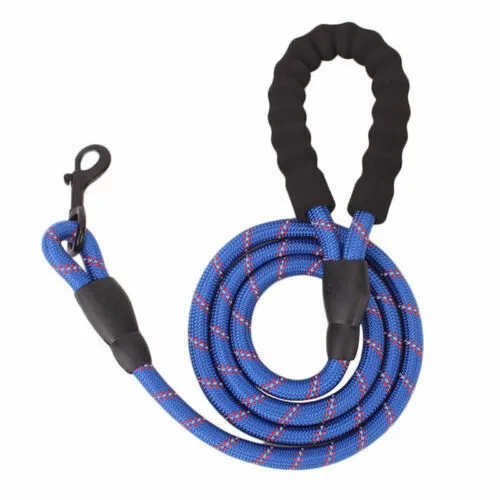 Reflective nylon braided traction rope for dog walking, 1.5m length, blue colour, on white background
