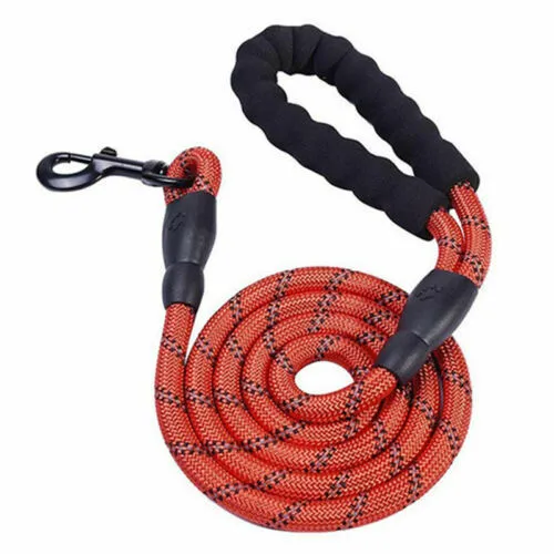 Reflective nylon braided traction rope for dog walking, 1.5m length, blue colour, on white background