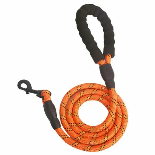 Reflective nylon braided traction rope for dog walking, 1.5m length, blue colour, on white background