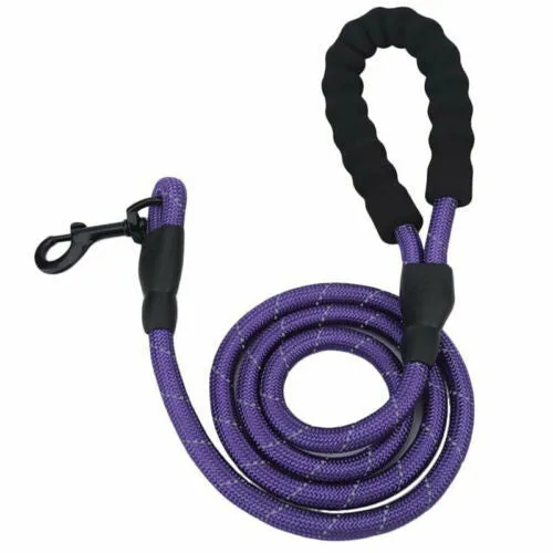 Reflective nylon braided traction rope for dog walking, 1.5m length, blue colour, on white background