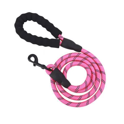 Reflective nylon braided traction rope for dog walking, 1.5m length, blue colour, on white background