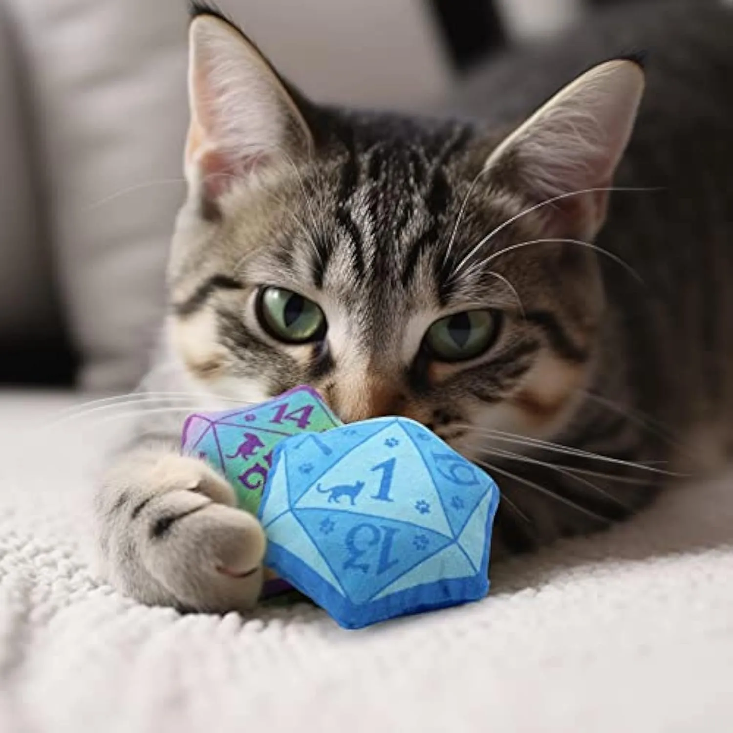 Blue dice-shaped catnip toy with dot markings on cube faces