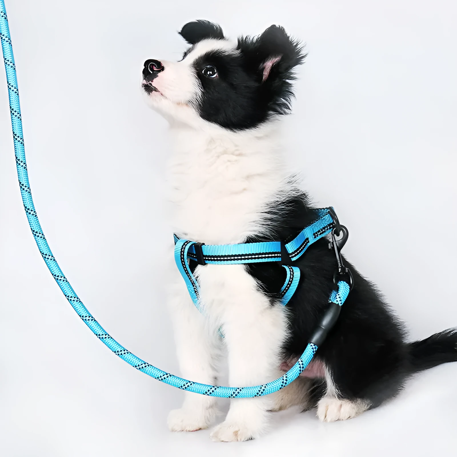 Nylon reflective dog leash with chest back harness in black, for small to medium dogs