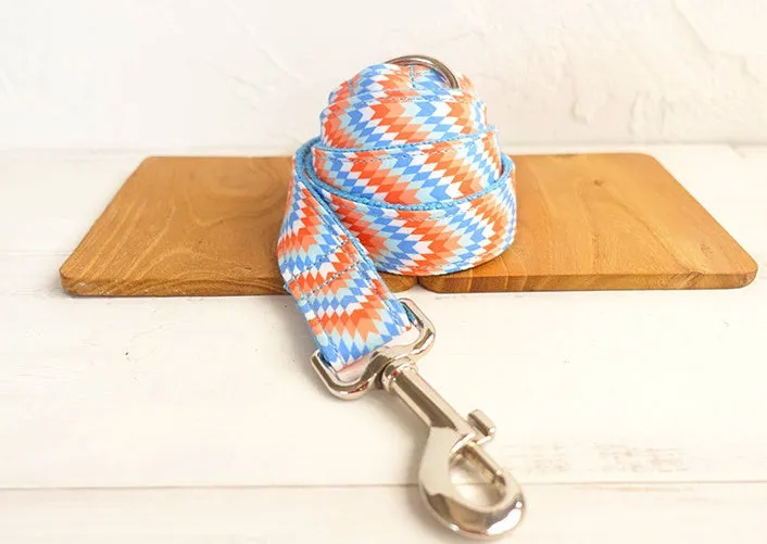 Money loop dog leash set in orange blue with polyester running rope on white background