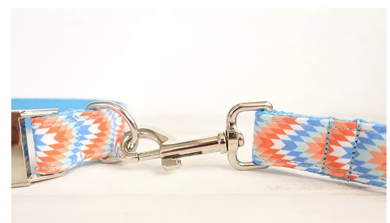 Money loop dog leash set in orange blue with polyester running rope on white background