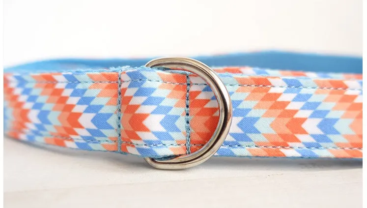 Money loop dog leash set in orange blue with polyester running rope on white background