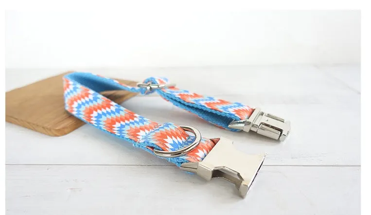 Money loop dog leash set in orange blue with polyester running rope on white background