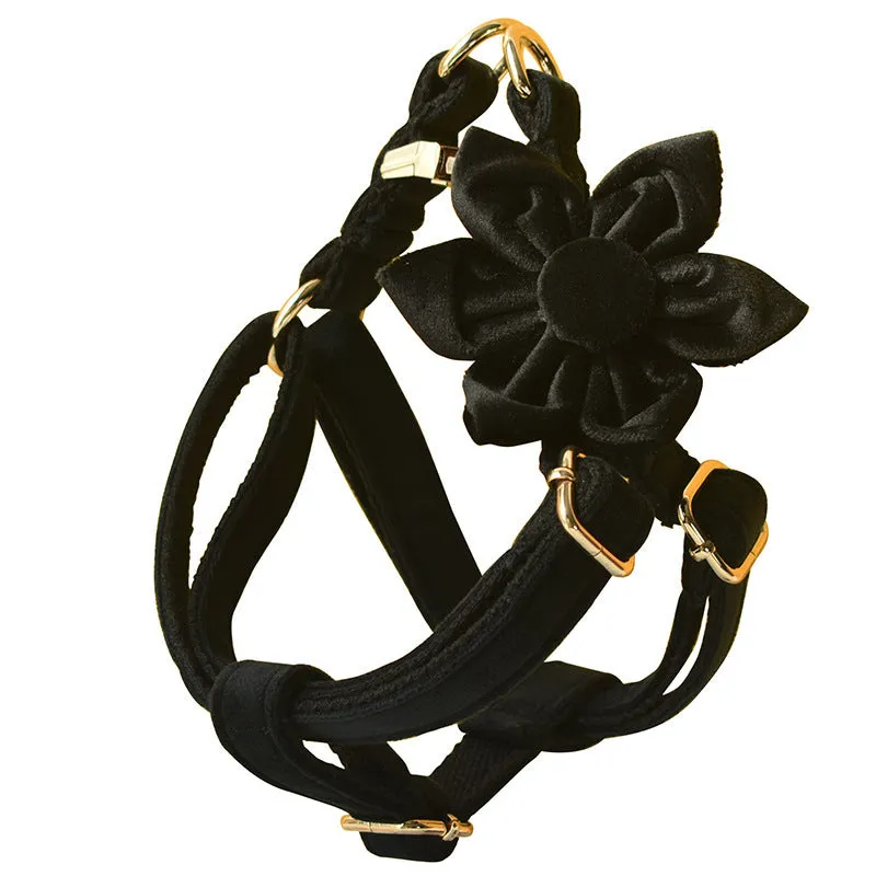 Black flannel dog harness with gold buckle on a light background, showing chest strap and leash