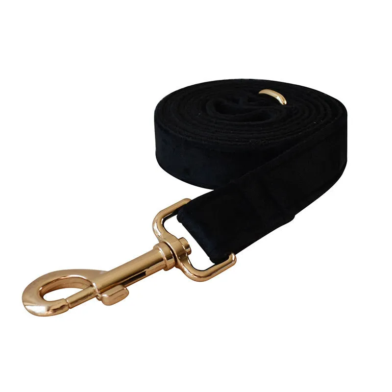 Black flannel dog harness with gold buckle on a light background, showing chest strap and leash