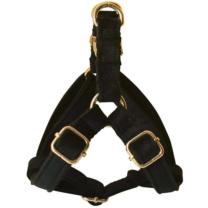 Black flannel dog harness with gold buckle on a light background, showing chest strap and leash
