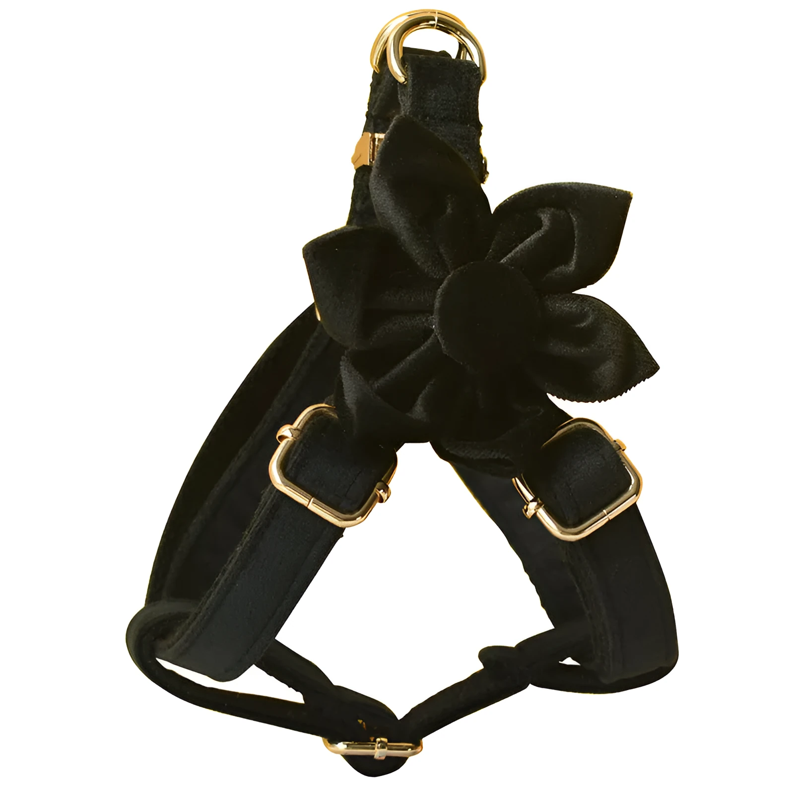 Black flannel dog harness with gold buckle on a light background, showing chest strap and leash