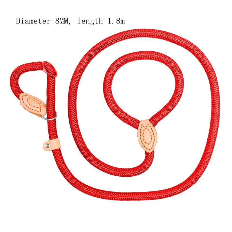 Specialised blast race dog training leash with automatic tightening rope collar in multiple colour options.
