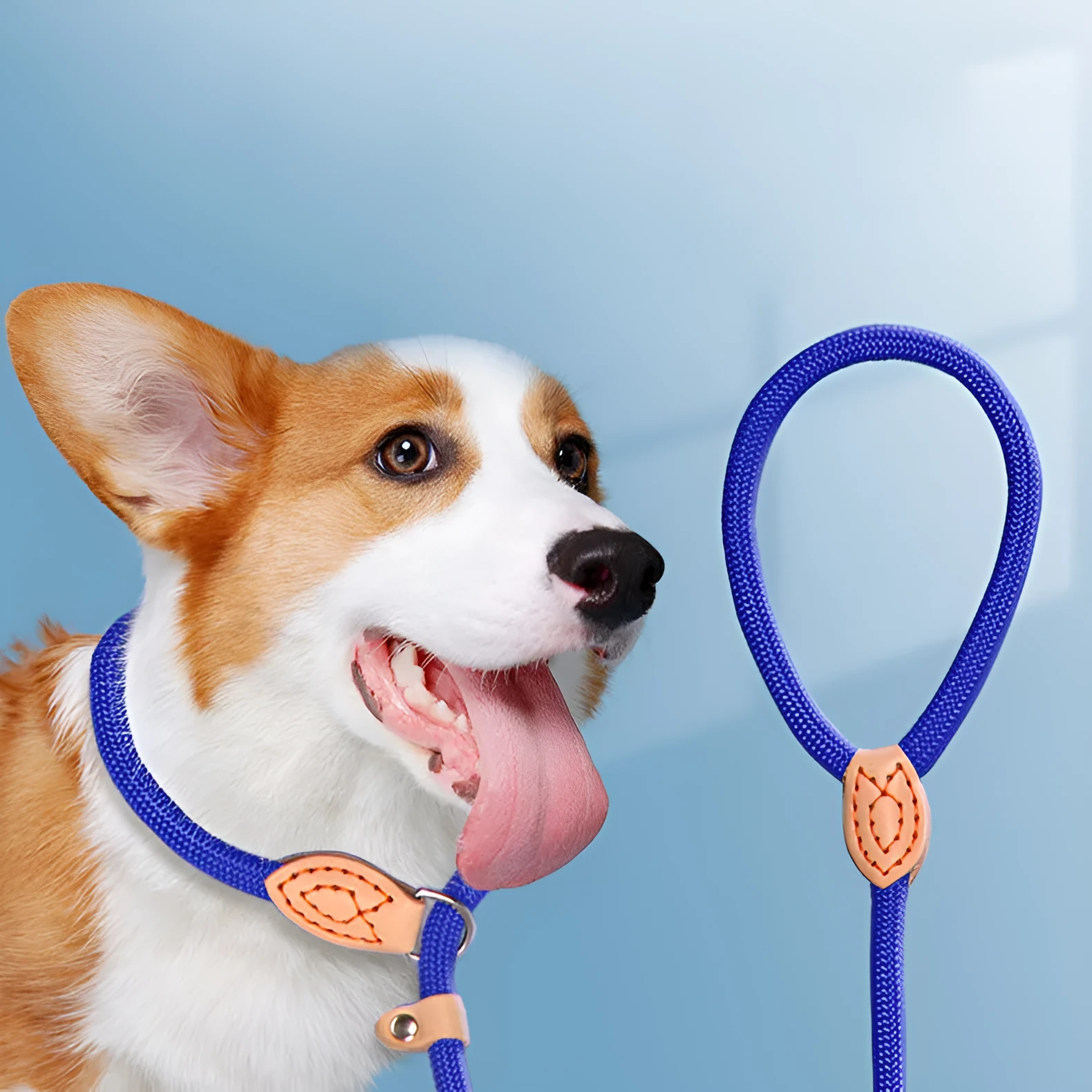 Specialised blast race dog training leash with automatic tightening rope collar in multiple colour options.