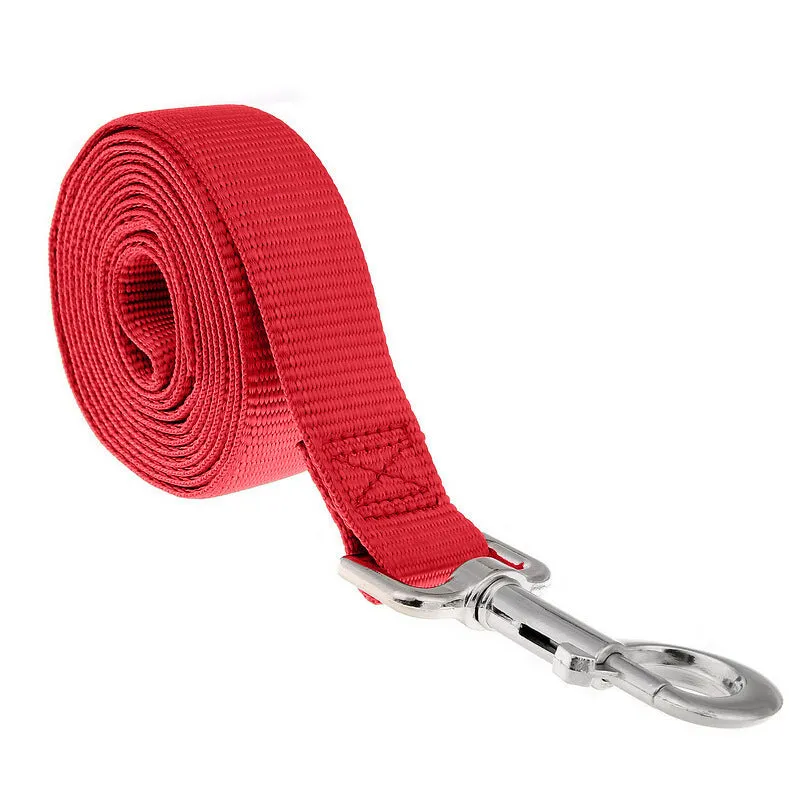 Lengthened PP pet leash in black colour on white background