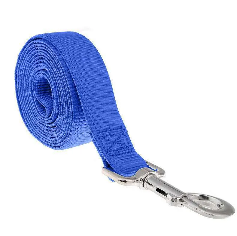 Lengthened PP pet leash in black colour on white background