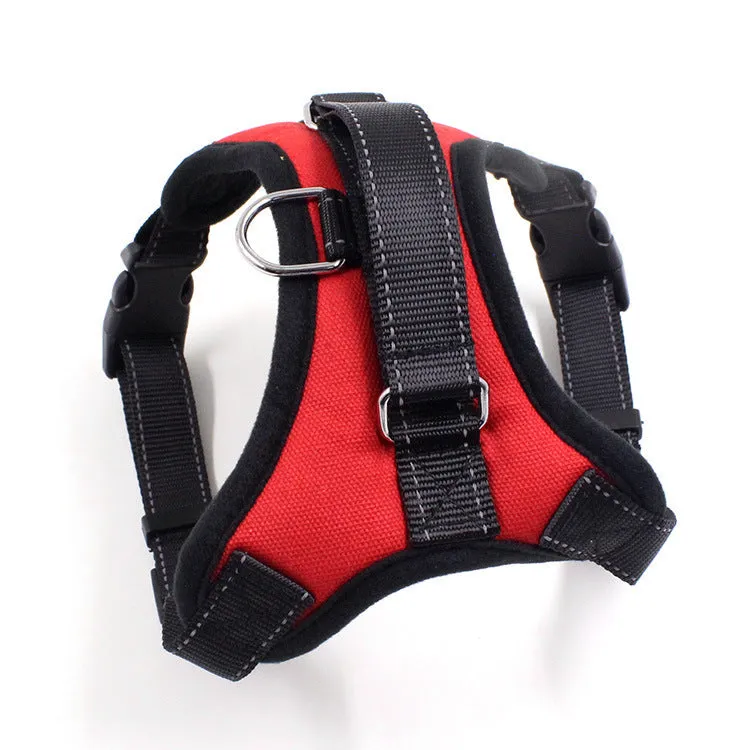 Blue nylon dog chest harness with reflective strips and sponge cushion on a small dog model