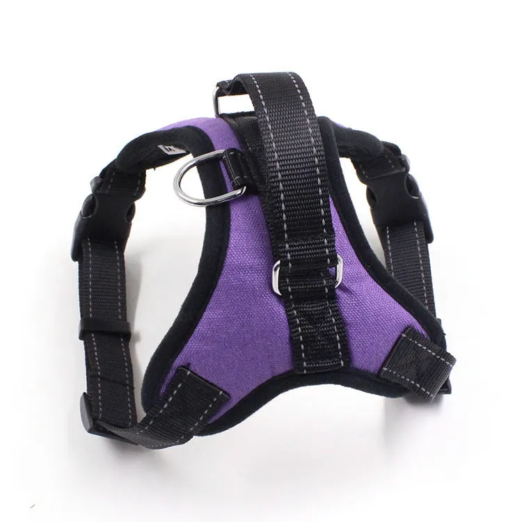 Blue nylon dog chest harness with reflective strips and sponge cushion on a small dog model