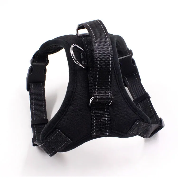 Blue nylon dog chest harness with reflective strips and sponge cushion on a small dog model